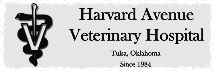 Harvard Avenue Veterinary Hospital